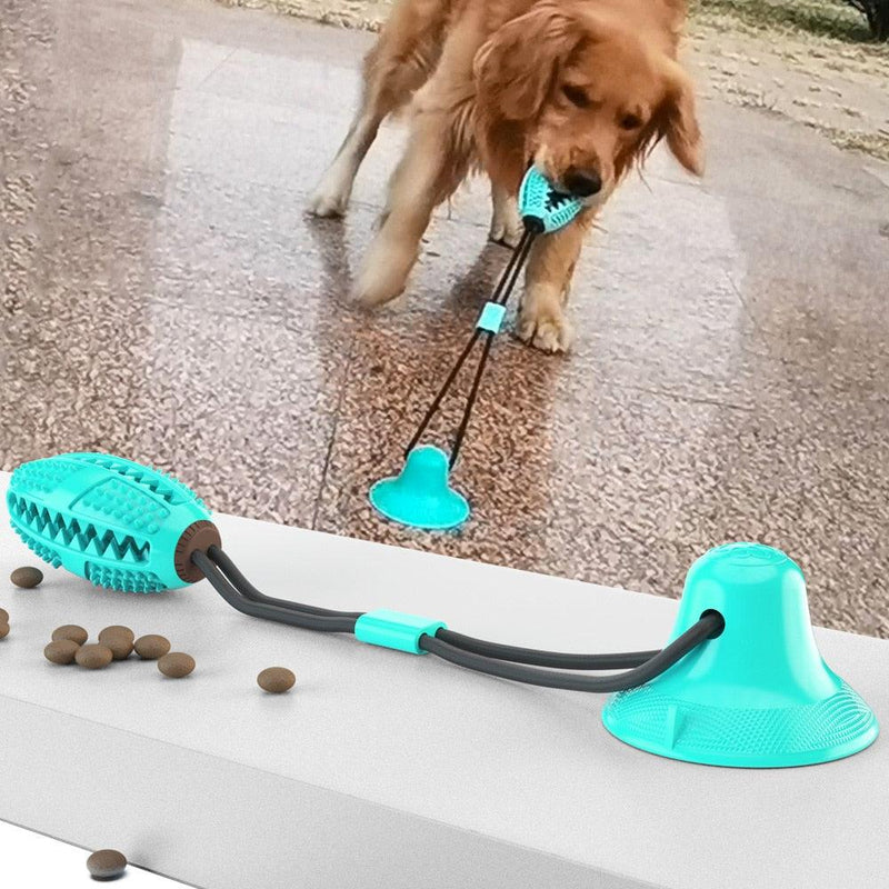 Teething Toy with Suction Cup