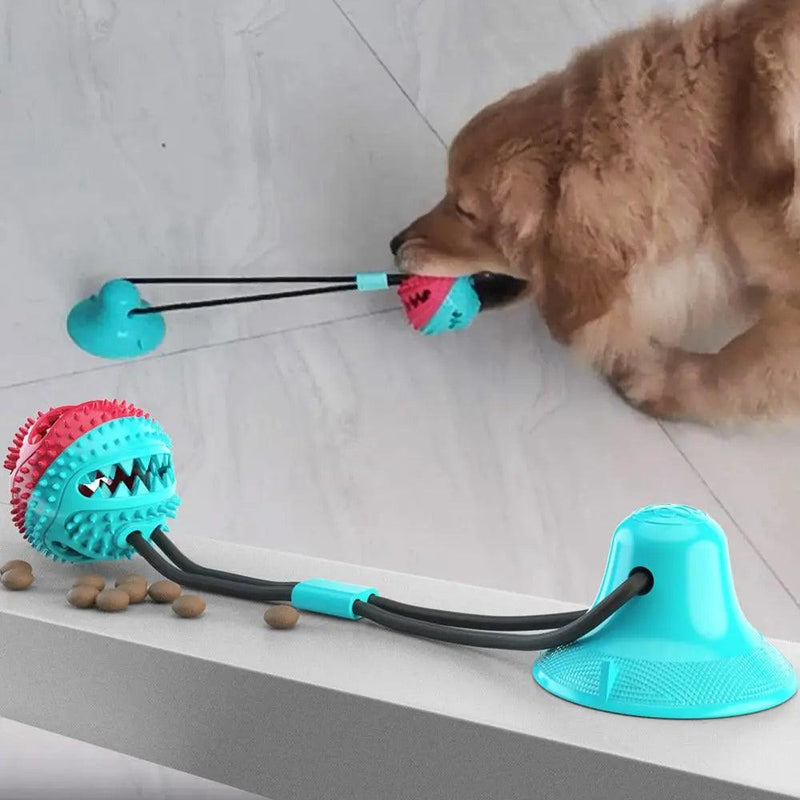 Teething Toy with Suction Cup
