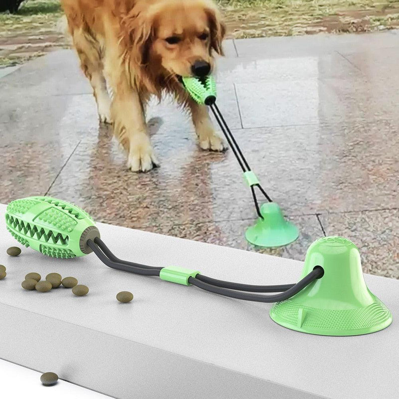 Teething Toy with Suction Cup
