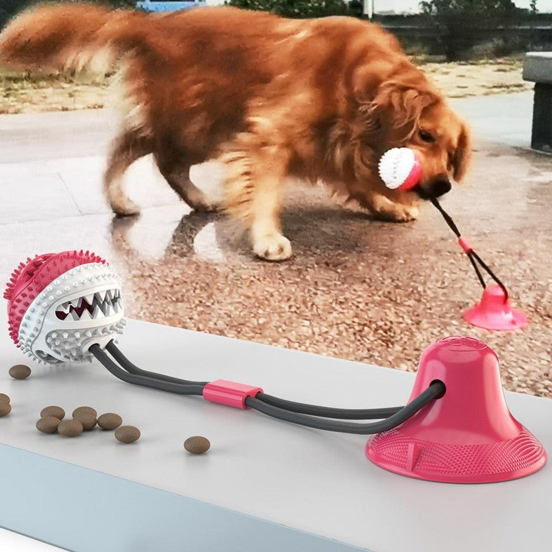 Teething Toy with Suction Cup